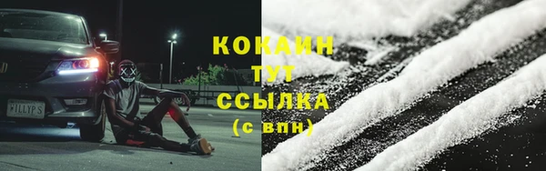 шишки Балахна