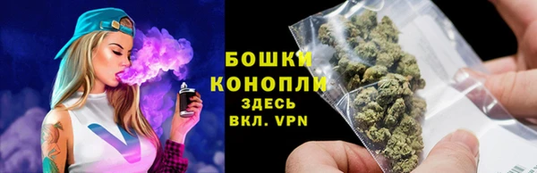 шишки Балахна