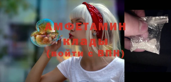 шишки Балахна