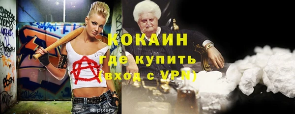 шишки Балахна